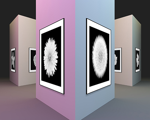 Gallery Space